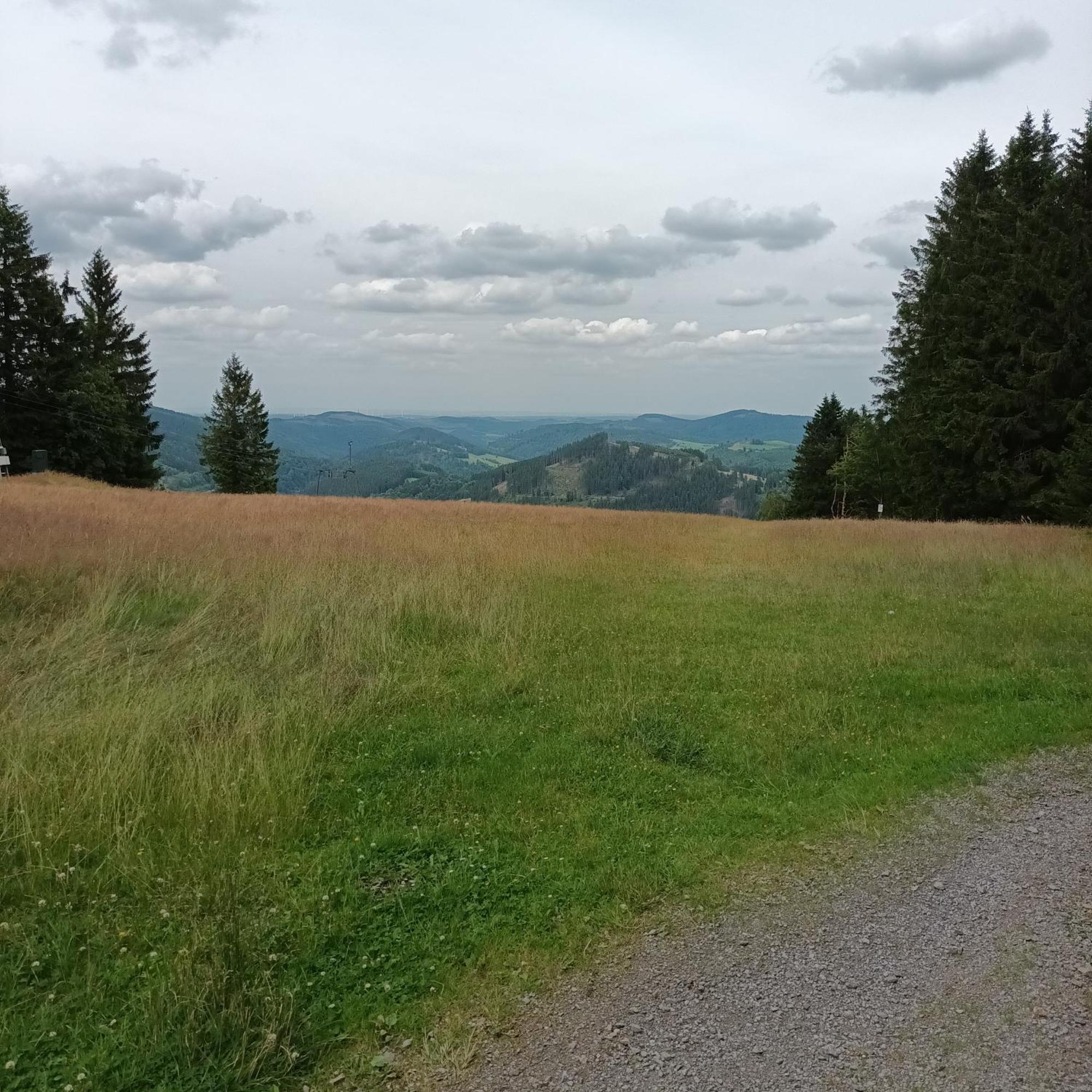 Ferienhaus Usseln 빌링겐 외부 사진